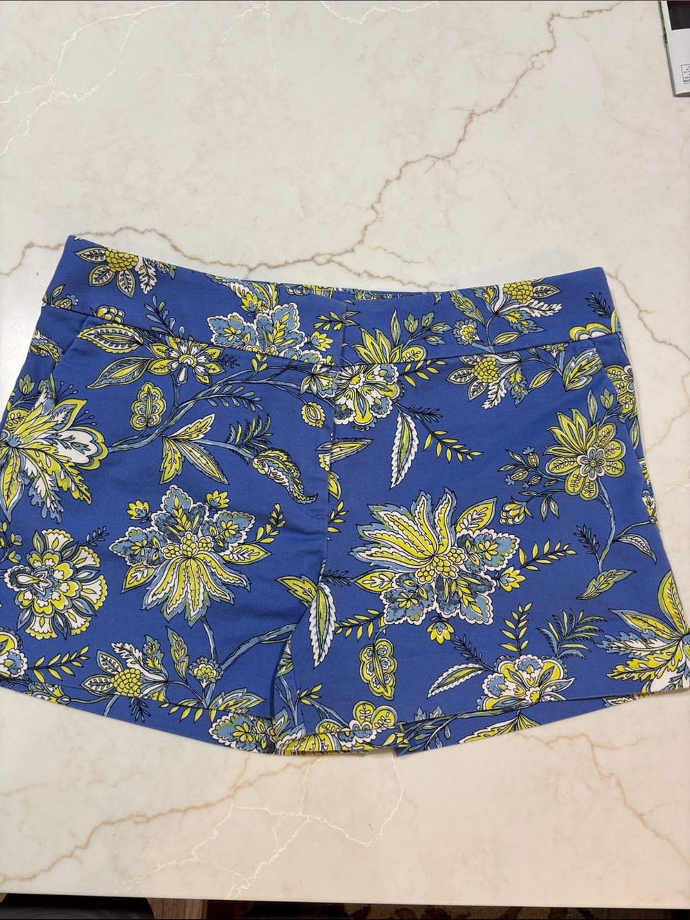 LOFT Riviera Chino Shorts Women’s Size 6